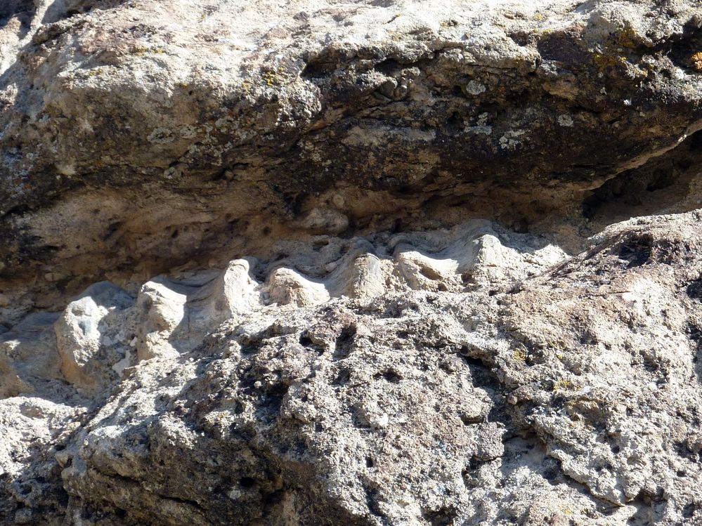 Dinosaur national park (3).JPG